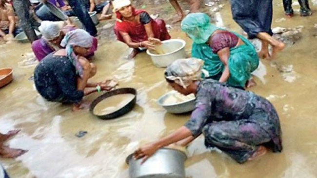 Gujrat Palli Mahotsav Gujrat Palli Mahotsav