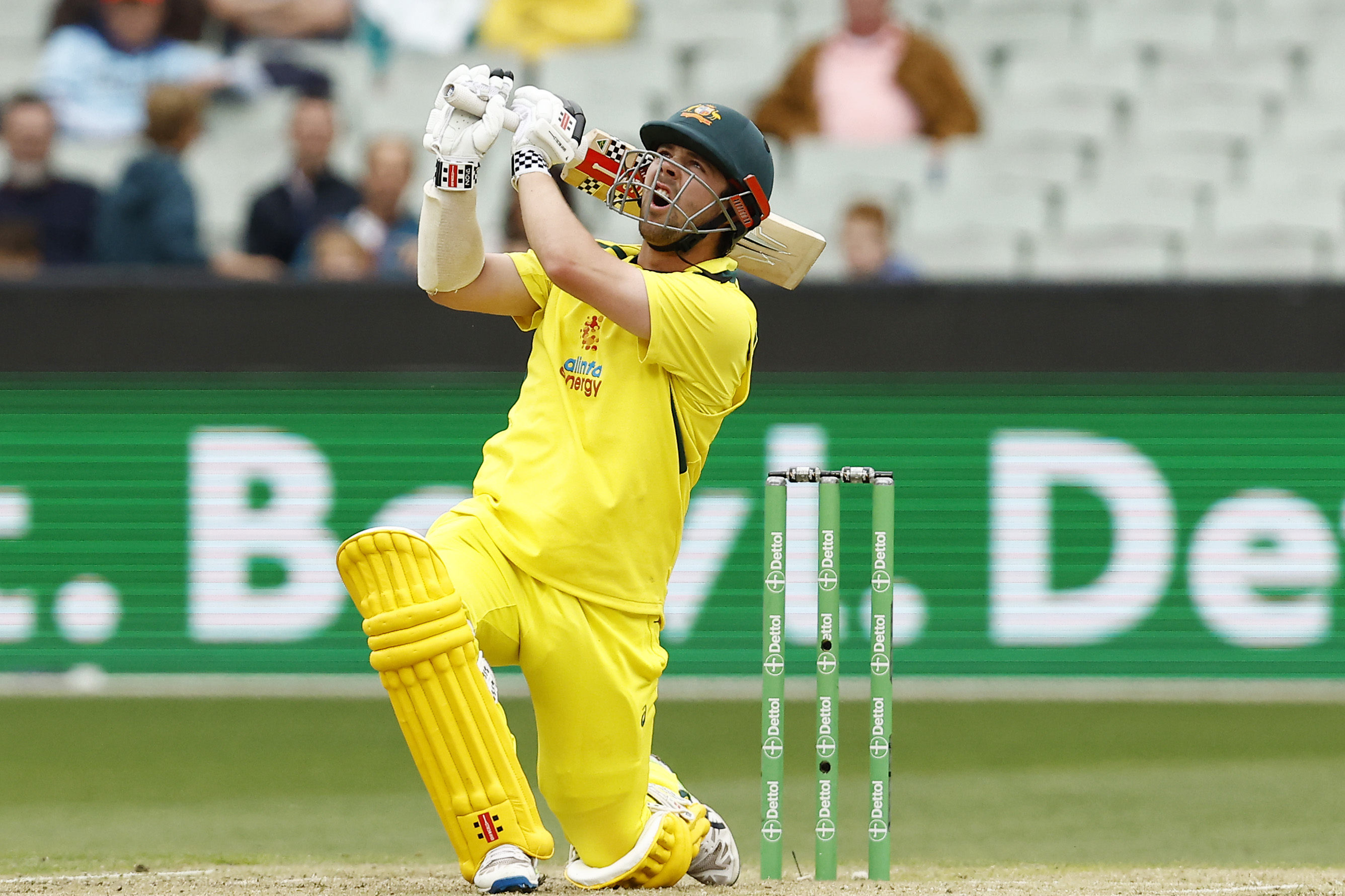 Australia vs New Zealand Most sixes in an ODI innings for Australia ODI World Cup 2023