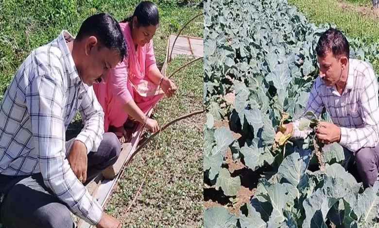एक किसान, जो सिर्फ 3 बीघे जमीन से कमा रहा 5 लाख रुपए सालाना; बेमौसमी सब्जियां उगाकर बना मिसाल
