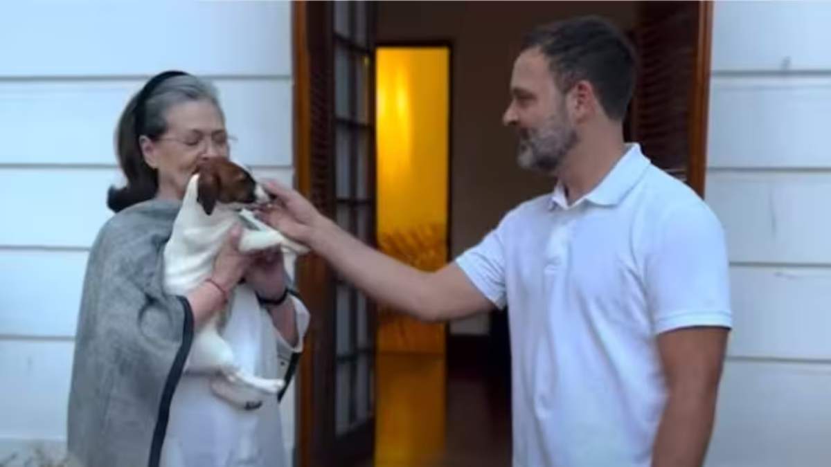 AIMIM leader files petition against Rahul Gandhi for naming dog 'Noori'