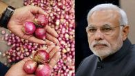 Onion prices Delhi, Onion prices, Onion rate, Onion prices Bihar, Onion, Onion rate,