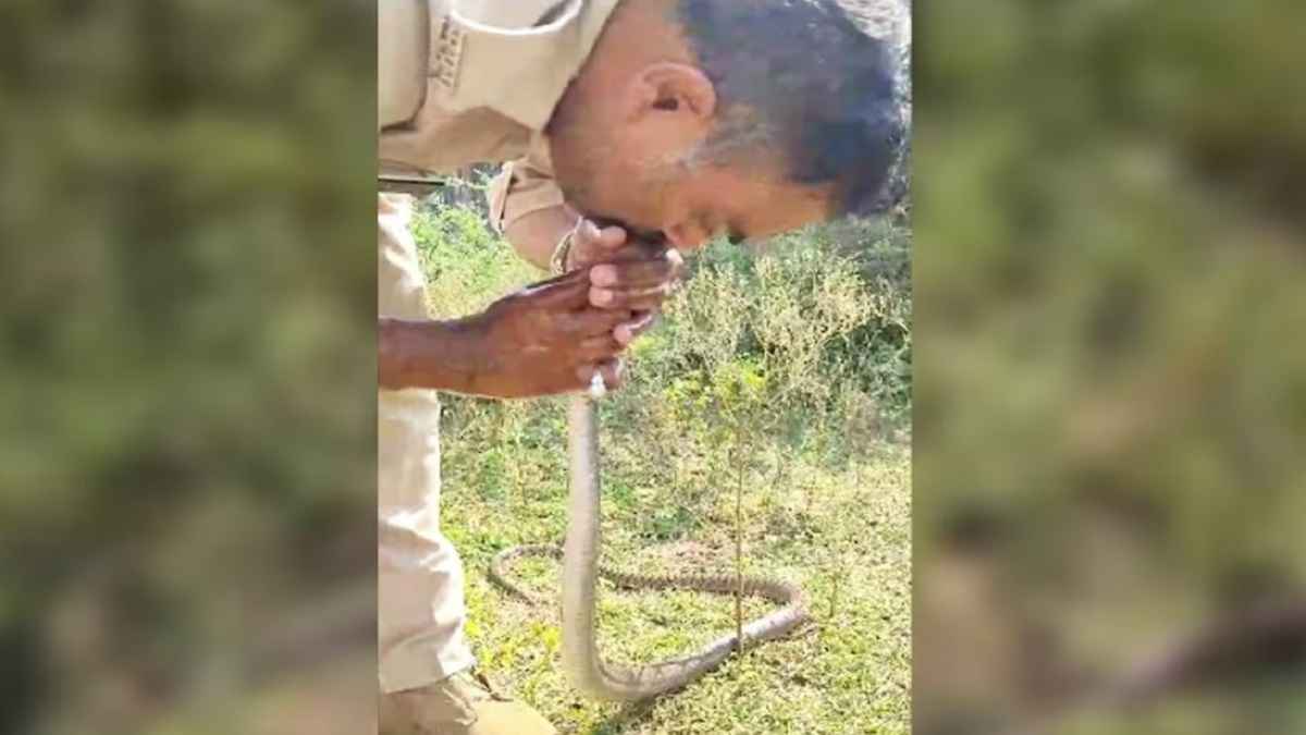 CPR To Snake