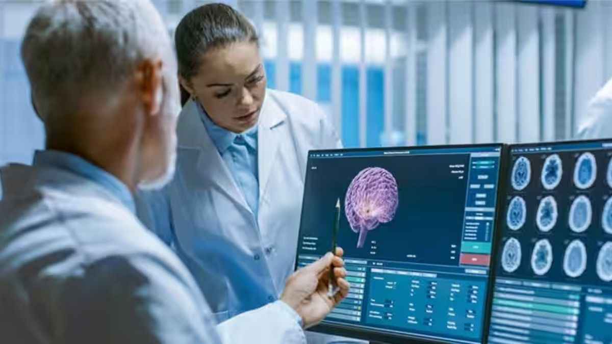 link between alzheimer's and gut is confirmed,how gut bacteria affects the brain and body,alzheimer's gut microbiome project,alzheimer's and stomach problems,how to improve gut health,gut microbiota is altered in patients with alzheimer's disease,gut microbiome composition may be an indicator of preclinical alzheimer’s disease,gut-brain axis