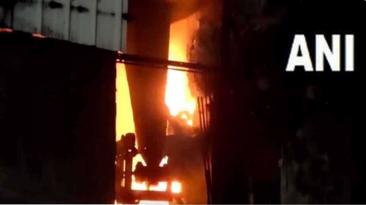 गुजरात की फैक्ट्री में लगी भीषण आग, 60 से ज्यादा टैंकर जलकर हुए खाक, मौके पर पहुंचीं दमकल की गाड़ियां