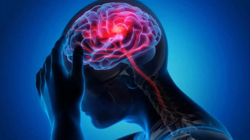 शोधकर्ताओं ने चूहों के मस्तिष्क के कई क्षेत्रों में जीन डिलीवरी की सुरक्षा और व्यवहार्यता की जांच करने के लिए एक नॉनइनवेसिव, अल्ट्रासाउंड-आधारित तकनीक का उपयोग करने का पता लगाया है। Gene Therapy, Genetic Disease, Brain, Viral Vectors, Gene-Delivery Vector, Noninvasive, Ultrasound-based Technology, Research, Medical Research, Health care, Lifestyle, जीन थेरेपी, आनुवंशिक रोग, मस्तिष्क, वायरल वैक्टर, जीन-डिलीवरी वेक्टर, नॉनइनवेसिव, अल्ट्रासाउंड-आधारित तकनीक, शोध, मेडिकल रिसर्च, हेल्थ केयर, लाइफ स्टाइल,