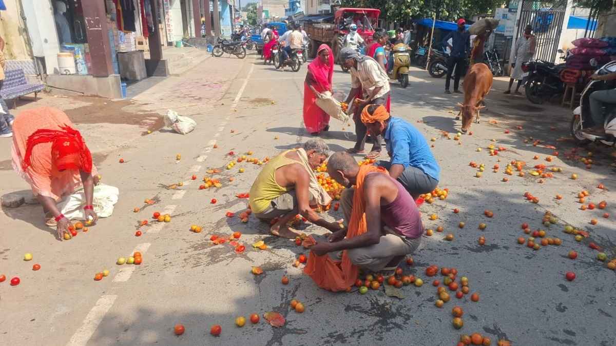 छत्तीसगढ़ में किसानों ने सड़कों पर फेंके टमाटर, बोले- 3-4 रुपए किलो बिक रहा, किराया भी नहीं निकल रहा