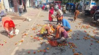 Chhattisgarh Farmers, Farmer, Tomato, Chhattisgarh News, Raipur News, Hindi News
