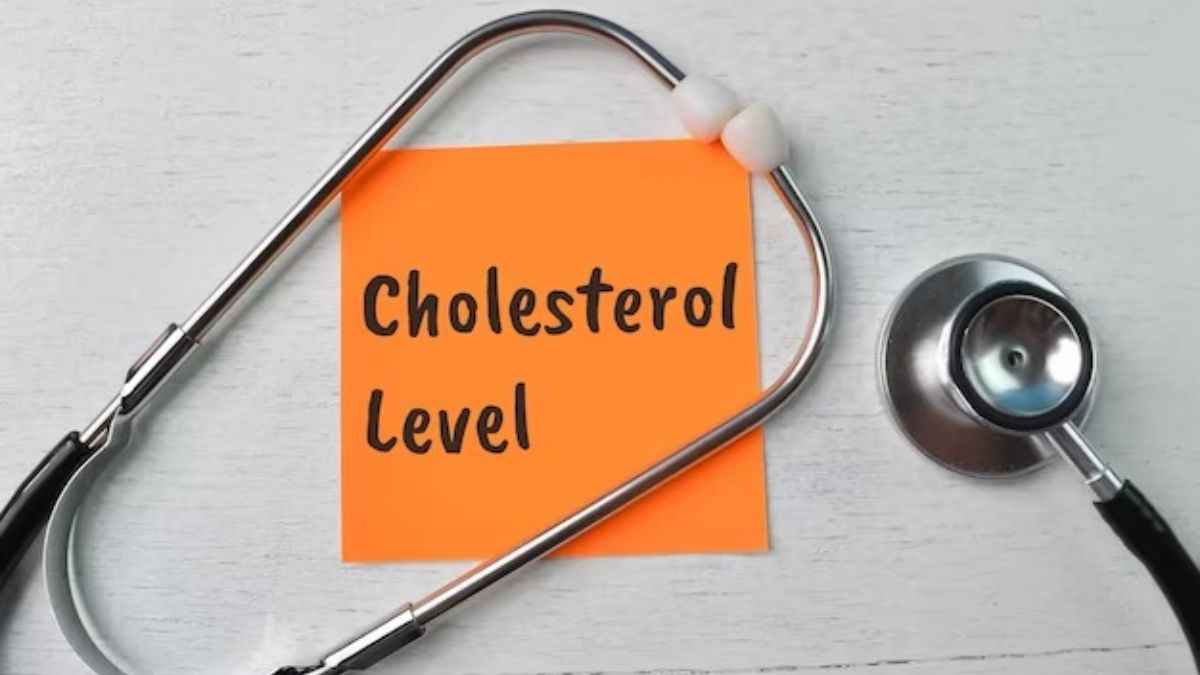 क्या है Cholesterol का सही लेवल? खतरे के निशान तक पहुंचा तो कैसे करेंगे बचाव