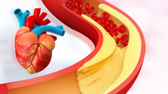 White brinjal benefits for weight loss,white brinjal benefits in hindi,white brinjal recipe,is white brinjal good for health,green brinjal benefits,Is white brinjal good for health in hindi,Is white brinjal good for health in ayurveda,eggplant side effects brinjal benefits, is eggplant good for cholesterol