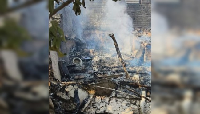 Drive Away Cobra Family Smoke House In UP Drive Away Cobra Family Smoke House In UP