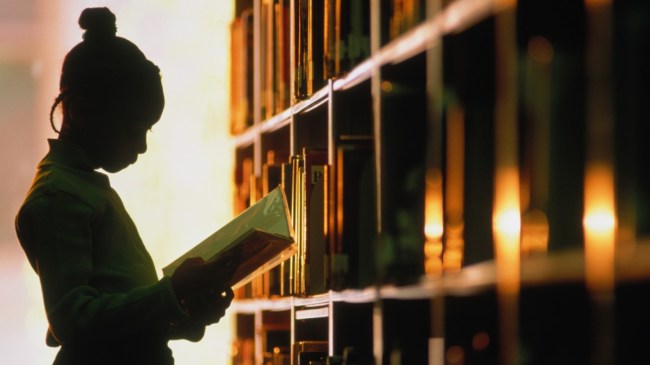 अगर पत्नी पढ़ी-लिखी है तो क्या उसे नौकरी करने के लिए मजबूर किया जा सकता है? पढ़िए हाईकोर्ट की टिप्पणी