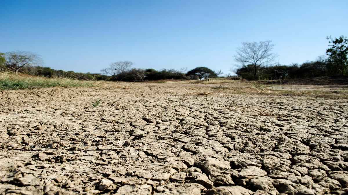 El Nino, American predict, heat in India, weather news