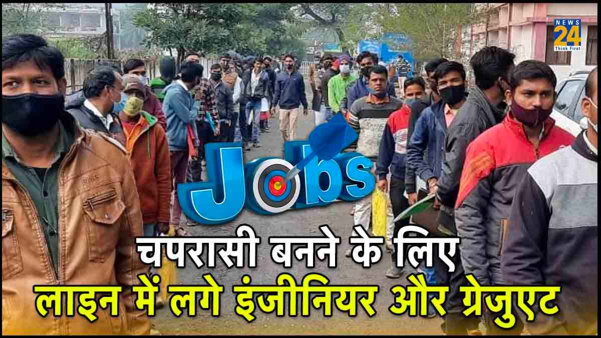 Government Job