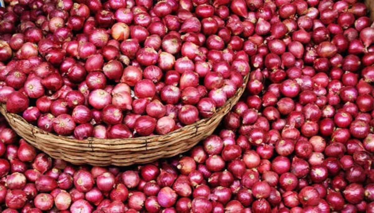 Government Selling Onion Low Price Delhi NCR Price Rise