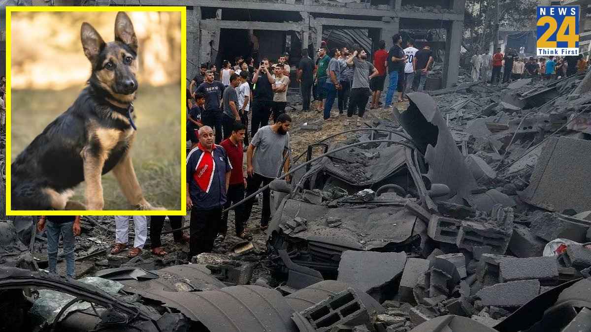 इजरायल के कुत्तों को भी मार रहे हमास के आतंकी, किसानों के घरों लगा रहे आग