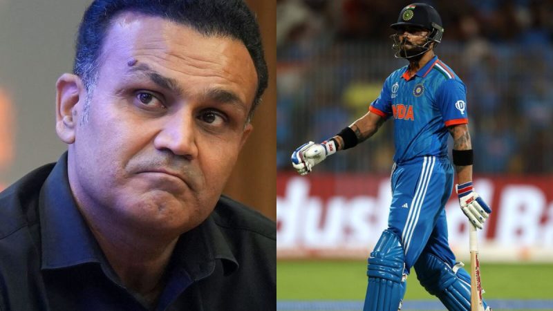 IND vs AUS: Jahan Matter Bade Hote Hain...Virender Sehwag Praised Virat Kohli