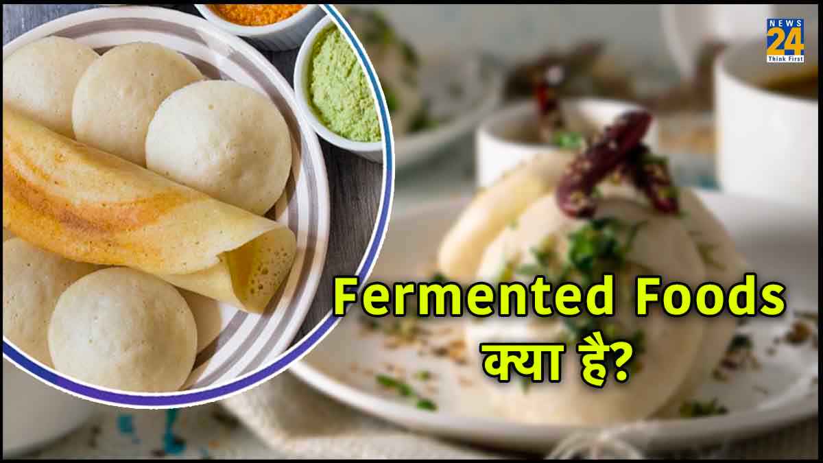 Fermented Foods What is fermented food,benefits of fermented food,Fermented Ke Fayde,fermented food,Fermented Food Making Methods,Fermented Food processing,fermented foods examples,dangers of fermented foods,who should not eat fermented foods,fermented foods benefits,how often should you eat fermented foods,best fermented foods for gut health