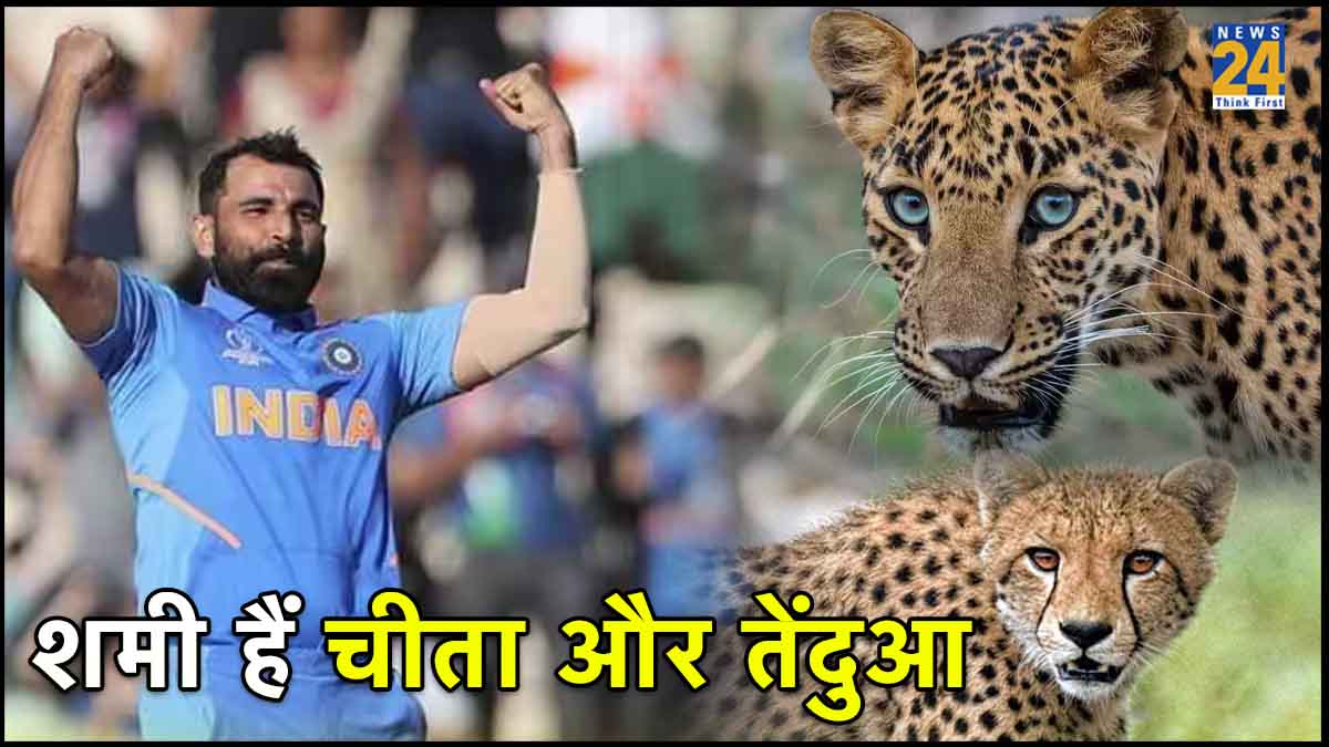 Sunil Gavaskar Mohammed Shami ODI World Cup 2023