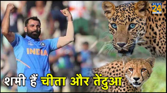 Sunil Gavaskar Mohammed Shami ODI World Cup 2023