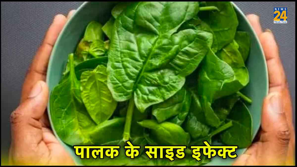 भूलकर भी पालक न खाएं ये 3 तरह के लोग, वरना बढ़ जाएंगी मुश्किलें
