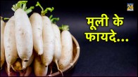 White radish health benefits,Radish health benefits and side effects,Radish health benefits for hair,eating radish at night,Red radish health benefits,radish benefits for skin,white radish vitamins,eating radish empty stomach