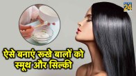 curd for hair fall, curd for dandruff, curd for dry hair, curd for hair growth, How to use curd for hair benefits, Curd for hair benefits for hair loss, , Best curd for hair benefits, how to use curd for hair growth, how much time to apply curd on hair