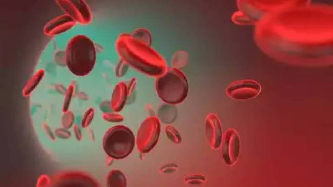 Cancer Cells Research Report