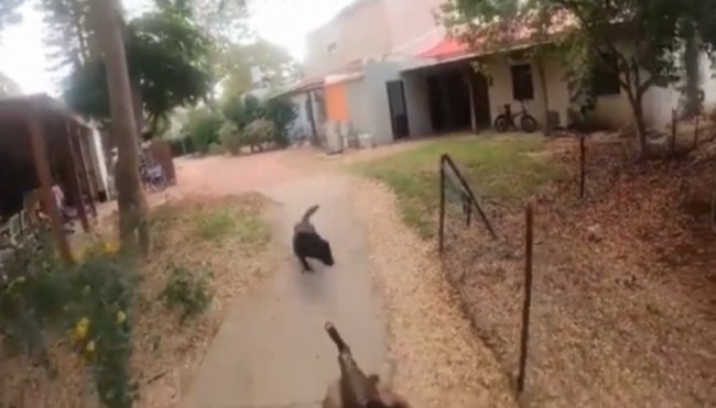 Israel Hamas War Terrorist Cut Throat 40 Children Israel Hamas War Terrorist Cut Throat 40 Children