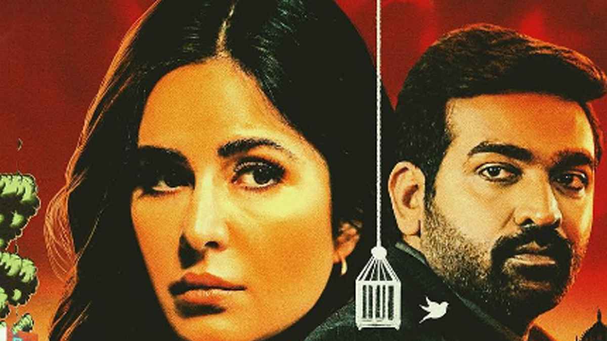 Katrina Kaif की थ्रिलर फिल्म के लिए फैंस को करना होगा इंतजार, Shah Rukh Khan की 'Dunki' बनी वजह!
