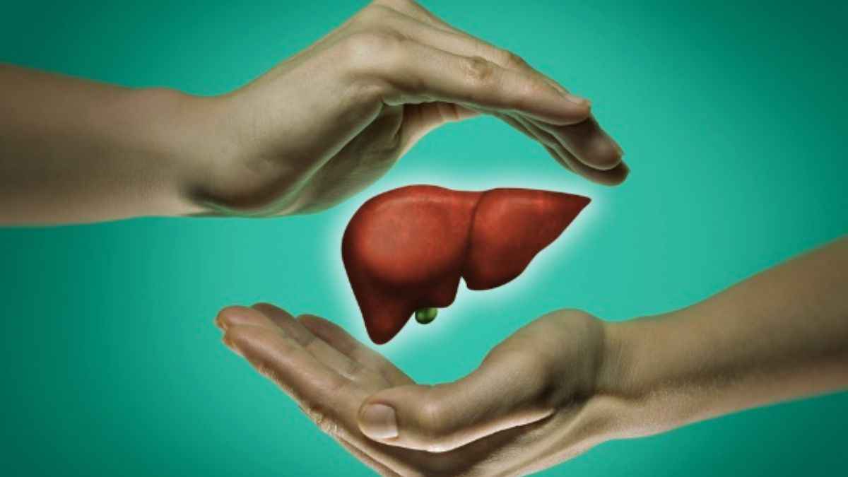 Liver Cell: अगर आपको भी सता रहा लिवर खराब होने का डर, तो यह रिसर्च जरूर पढ़ें