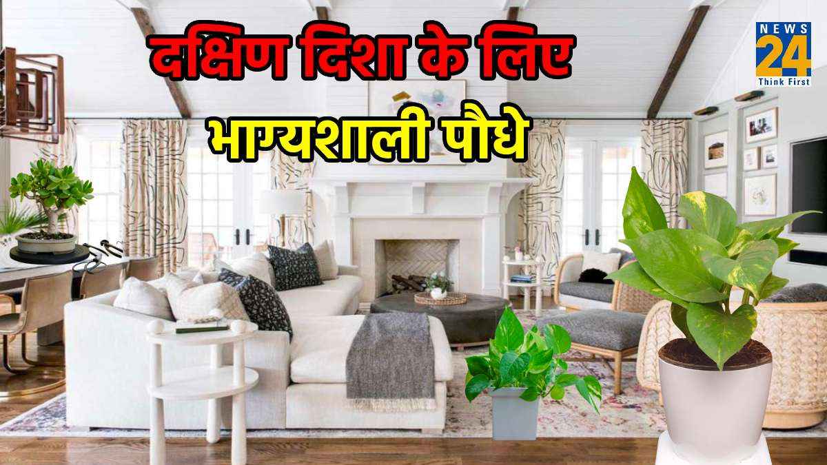 Lucky Plant: धन की कमी को दूर करने के लिए लगाएं घर की दक्षिण दिशा में 3 पौधे, कुबेर देव की होगी कृपा