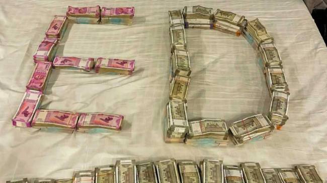 Mahadev Betting App, ED, Charge Sheet, Raipur, Mahadev App Case, Hindi News, Chhattisgarh News