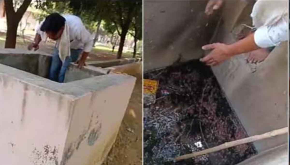 Viral Video: कोबरा को बचाने के लिए हौद में कूदा युवक, 3 बार डसा, वेंटिलेटर पर लड़ रहा जिंदगी की जंग