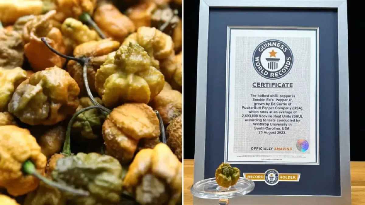 Guinness World Records: एक हजार लोगों के खाने में भी काफी है दुनिया की सबसे तीखी मिर्च