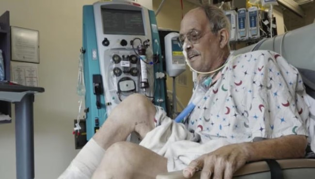 Pig's Heart Implanted In American Person Health Update