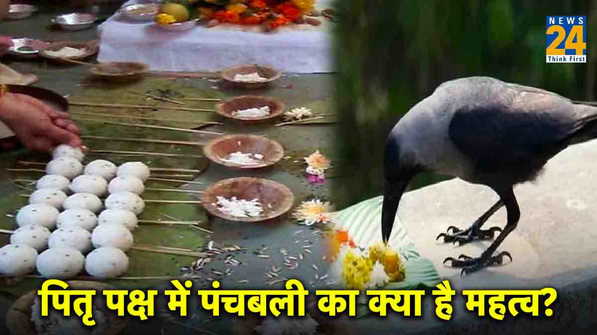 Pitru Dev: पंचबली के माध्यम से भोजन ग्रहण करते हैं पितृ देव, पितृ पक्ष के दौरान इन्हें जरूर खिलाएं