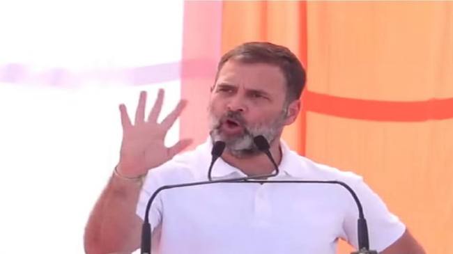 Chhattisgarh Assembly Election, Rahul Gandhi, Assembly Election, Hindi News, Chhattisgarh News, Congress, Election News, Rahul Gandhi promise, KG to PG Free Education