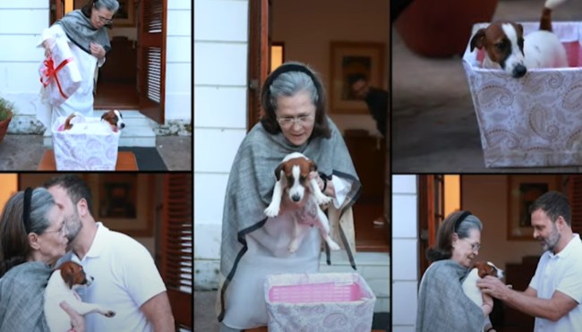 Rahul Gandhi Gifted Little Puppy 'Noori' To Sonia Gandhi