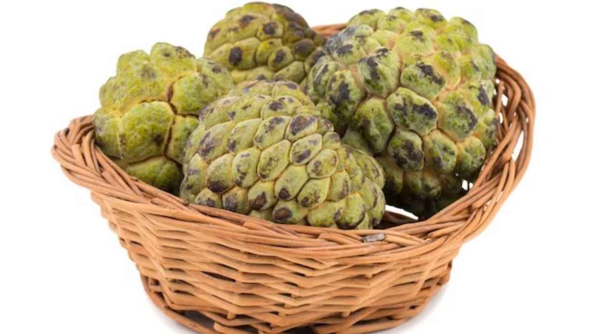 शरीफा या सीताफल...कब नहीं खाना चाहिए
