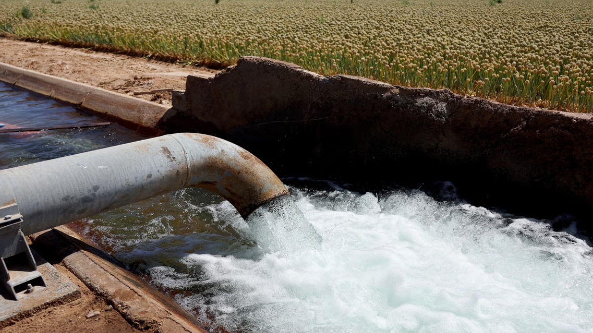 United Nation की चेतावनी, भारत में 2025 तक पैदा हो सकती है पानी की किल्लत