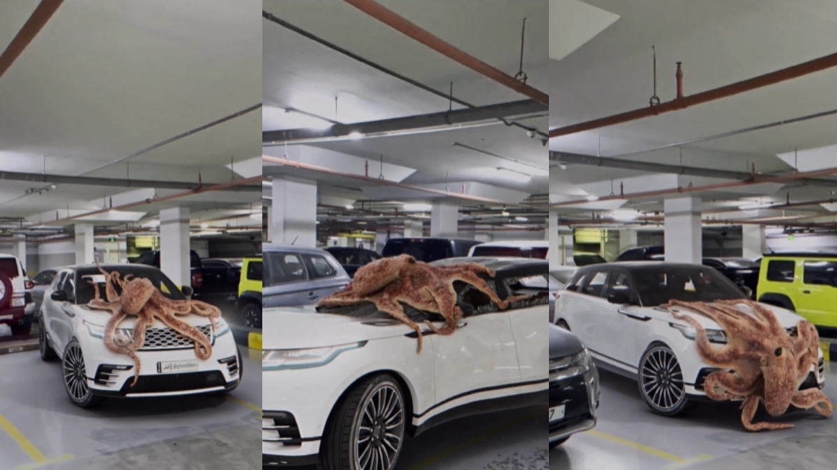 Viral Video: OMG! कार के ऊपर चढ़ गया ऑक्टोपस, बाद में जो किया नहीं होगा आंखों पर भरोसा