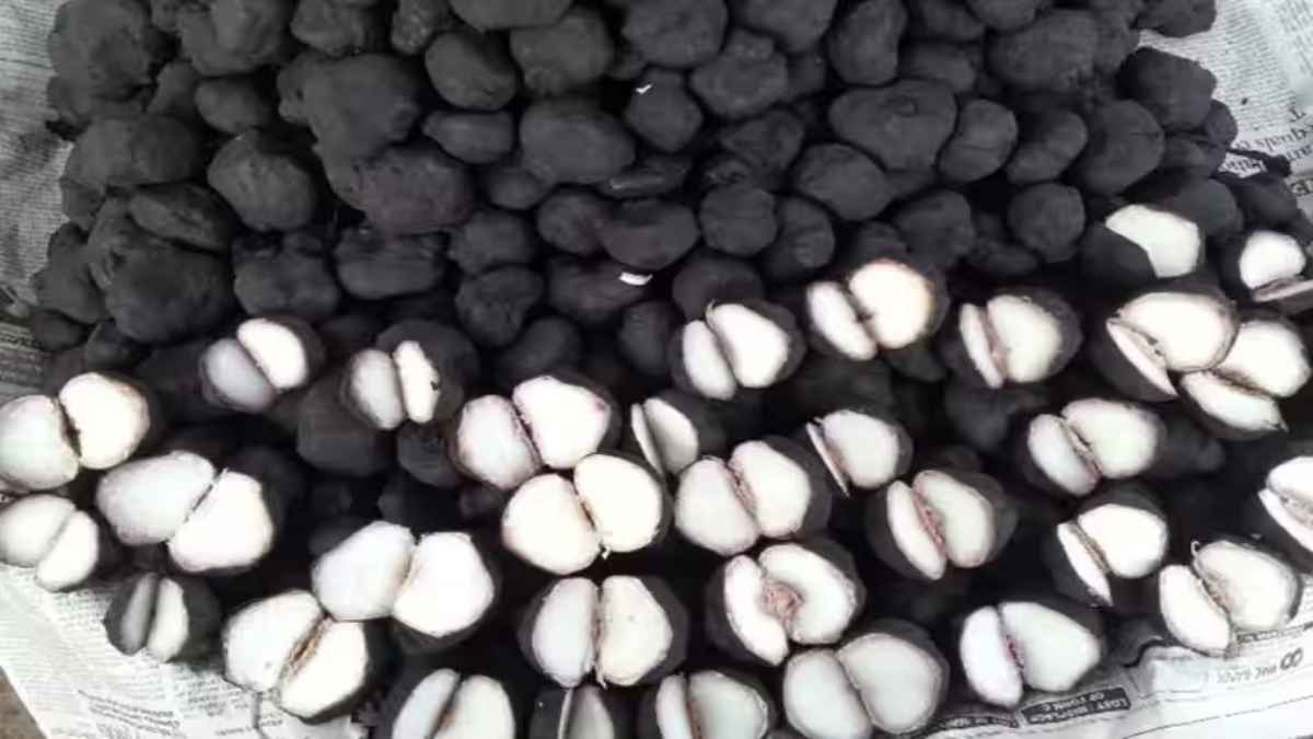 Water Chestnut