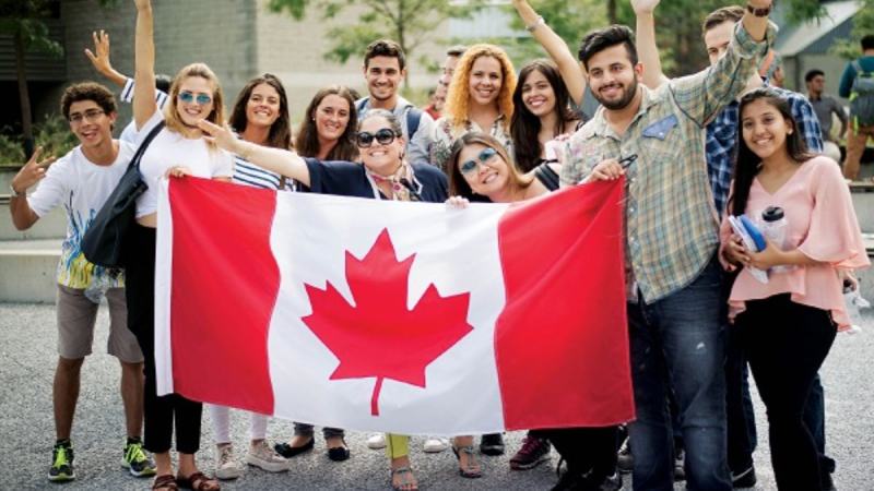 Struggle in Canada, indian youth, employment in canada,