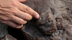 Ancient rock, human faces, Amazon River drought