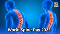 World spine day 2023 quotes,World spine day quotes wishes,world spine day 2023,world spine day theme 2023,world spine essay 2023,world spine day 2024,World spine day 2023 back support essentials activity and mattress