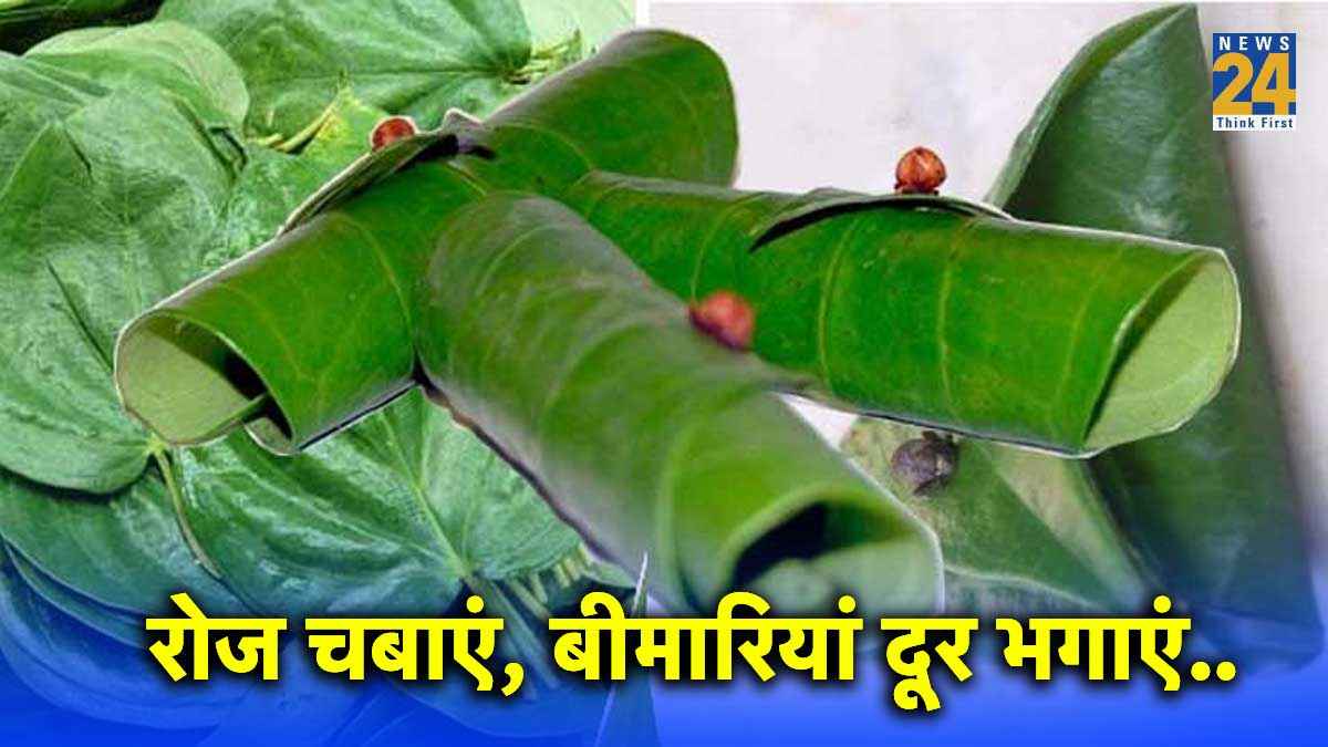 मसूड़ों से निकलता खून तो एक पत्ता रोज चबाएं, डाइजेस्ट सिस्टम भी नहीं करेगा परेशान