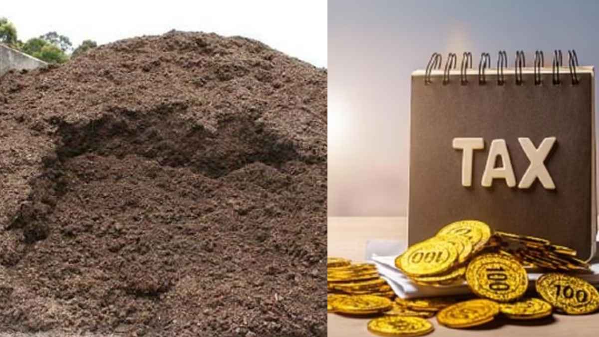 यूपी का एक शहर जहां लोगों को देना होगा गोबर टैक्स, प्रति क्विंटल के हिसाब से वसूला जाएगा, रेट लिस्ट सामने आई