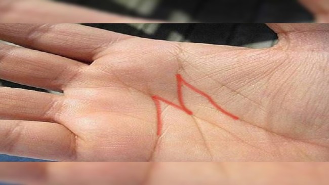 image - 2023-10-26T165234.801