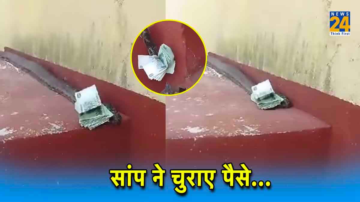 पैसे चुराकर भागा सांप, वीडियो देख लोट-पोट हुए यूजर्स, कमेंट्स पढ़कर और भी हंसी आएगी