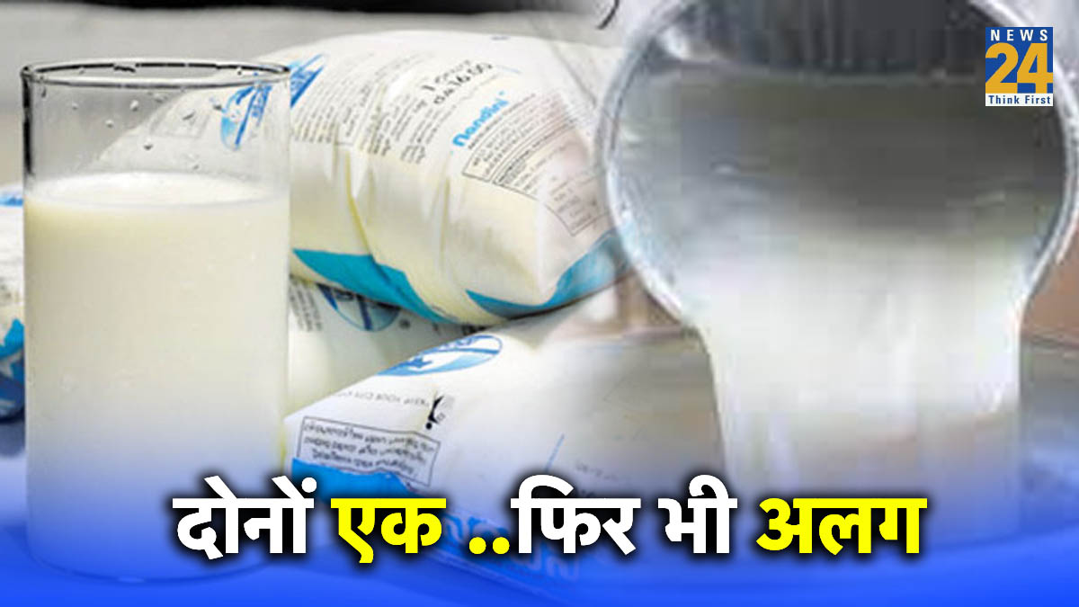 Packet milk and farm fresh raw milk difference in india,Packet milk and farm fresh raw milk difference in hindi,packet milk side effects,packet milk is good for health or not,packed milk vs fresh milk,packet milk disadvantages,packet milk benefits,which packet milk is best